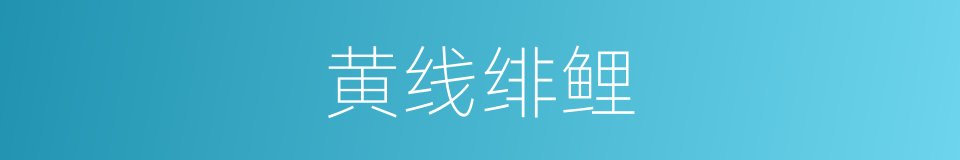 黄线绯鲤的同义词