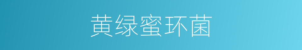 黄绿蜜环菌的同义词
