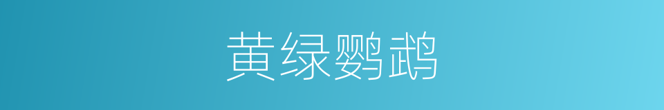 黄绿鹦鹉的同义词