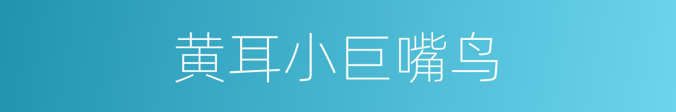 黄耳小巨嘴鸟的同义词