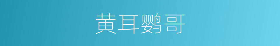 黄耳鹦哥的同义词