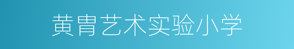 黄胄艺术实验小学的同义词