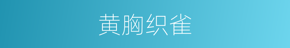 黄胸织雀的同义词
