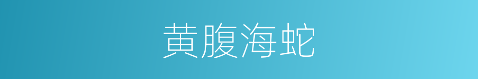 黄腹海蛇的同义词