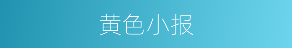 黄色小报的同义词