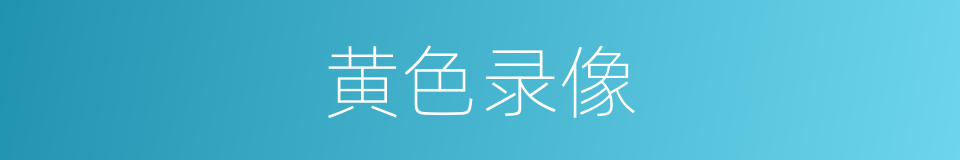 黄色录像的同义词