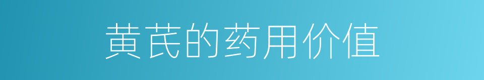 黄芪的药用价值的同义词