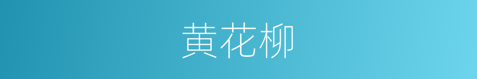 黄花柳的同义词
