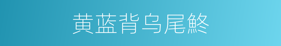 黄蓝背乌尾鮗的同义词