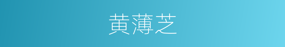 黄薄芝的同义词