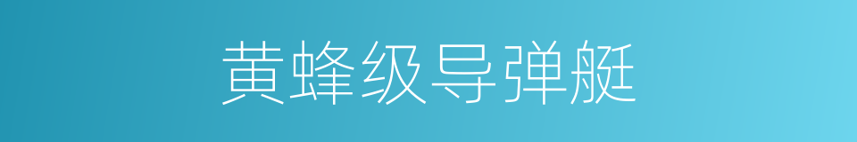 黄蜂级导弹艇的同义词