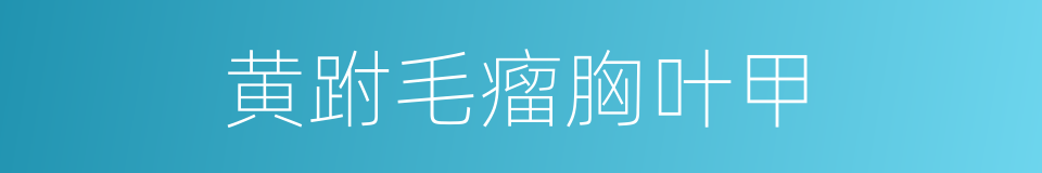 黄跗毛瘤胸叶甲的同义词