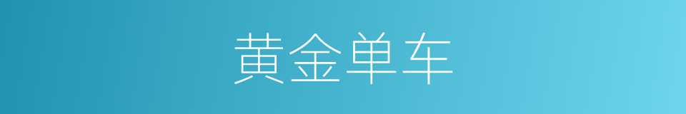 黄金单车的同义词