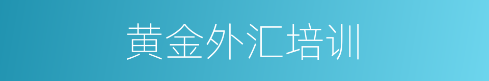 黄金外汇培训的同义词