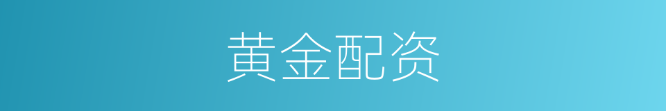 黄金配资的同义词