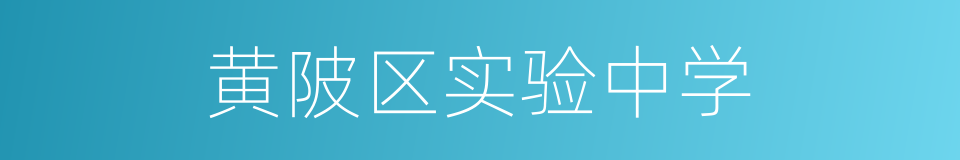 黄陂区实验中学的同义词