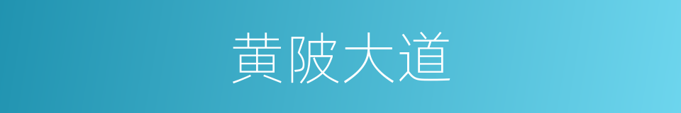 黄陂大道的同义词