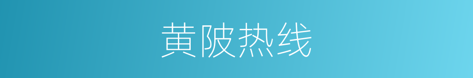 黄陂热线的同义词
