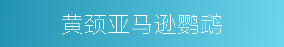 黄颈亚马逊鹦鹉的同义词