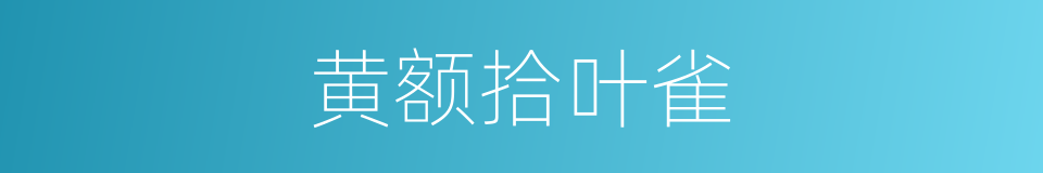 黄额拾叶雀的同义词