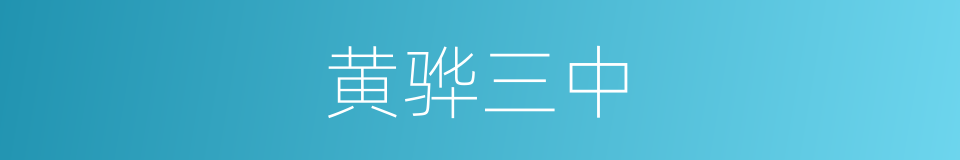 黄骅三中的同义词
