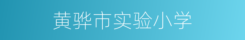 黄骅市实验小学的同义词