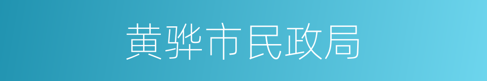 黄骅市民政局的同义词