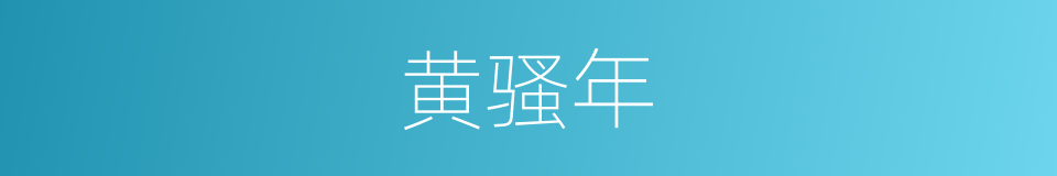 黄骚年的同义词