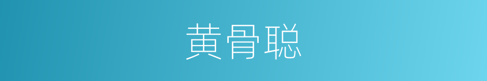 黄骨聪的同义词