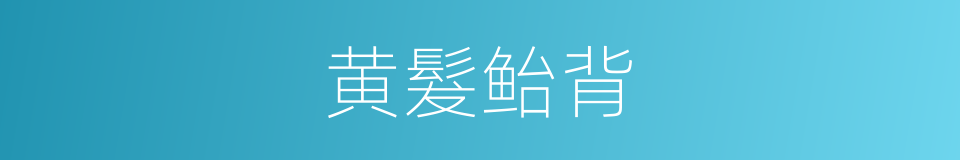 黄髮鲐背的同义词