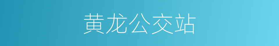 黄龙公交站的同义词