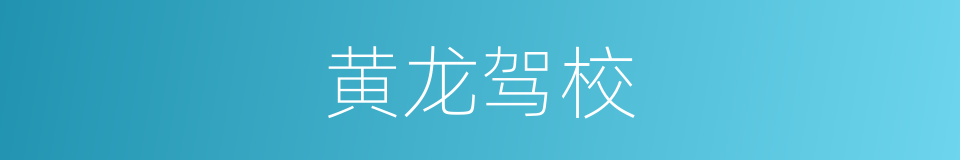 黄龙驾校的同义词
