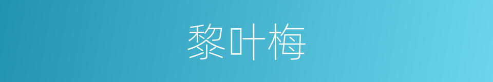 黎叶梅的同义词