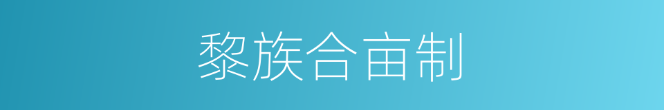 黎族合亩制的同义词