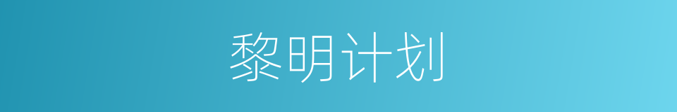 黎明计划的同义词