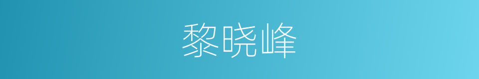 黎晓峰的同义词