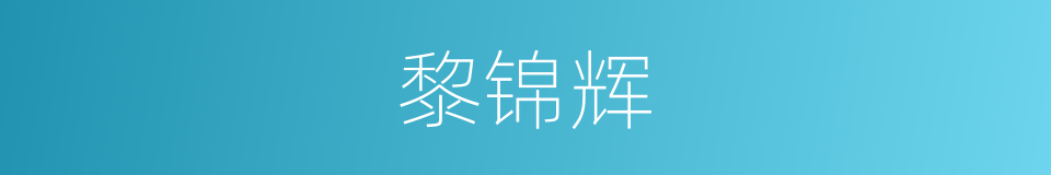 黎锦辉的同义词