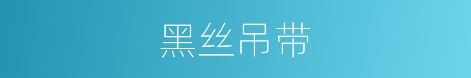 黑丝吊带的同义词