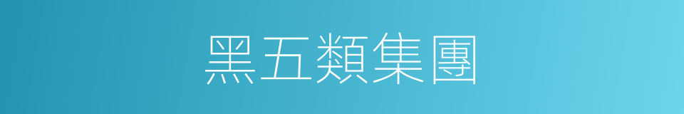 黑五類集團的同義詞