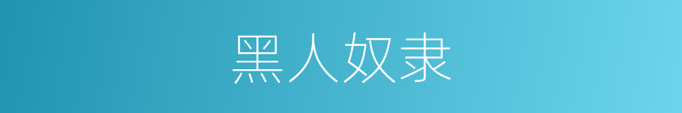 黑人奴隶的同义词