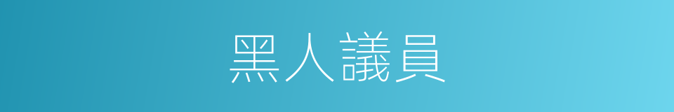 黑人議員的同義詞