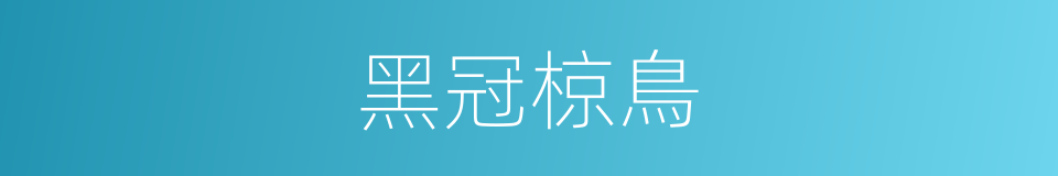 黑冠椋鳥的同義詞