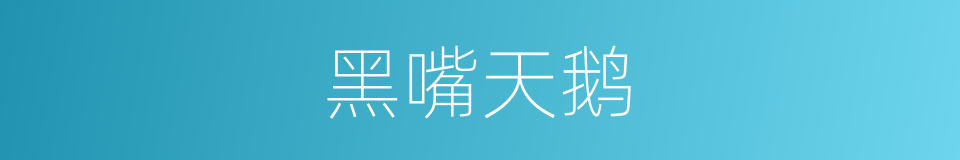 黑嘴天鹅的同义词