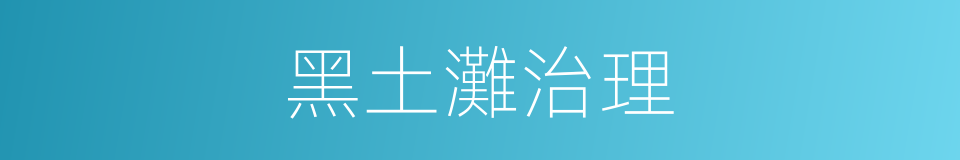 黑土灘治理的同義詞