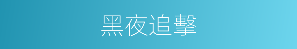 黑夜追擊的同義詞