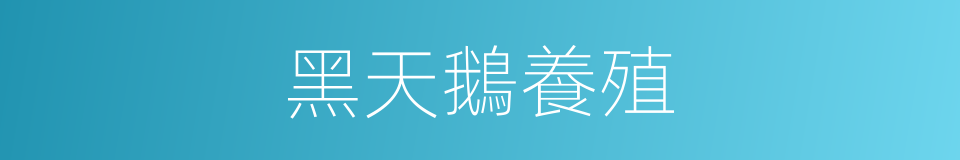 黑天鵝養殖的同義詞