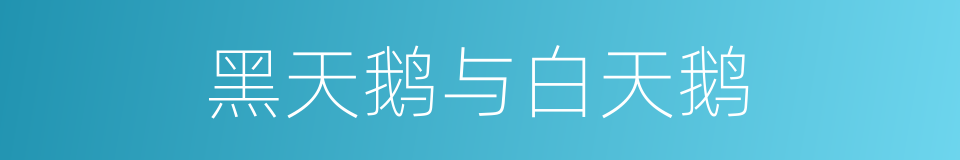 黑天鹅与白天鹅的同义词