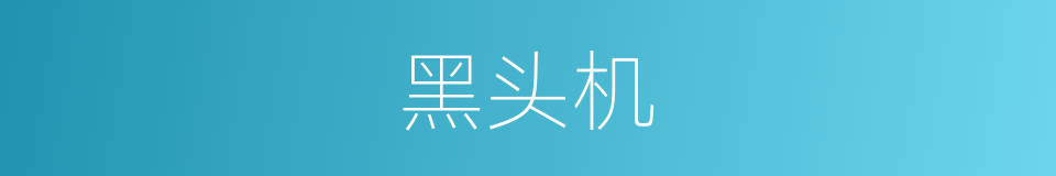 黑头机的同义词