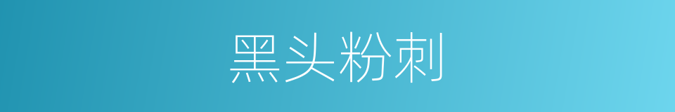 黑头粉刺的同义词