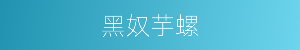 黑奴芋螺的同义词